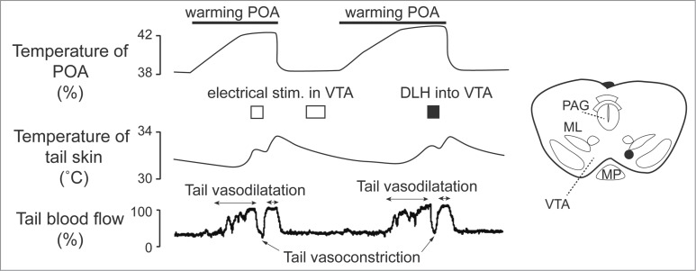 Figure 12.