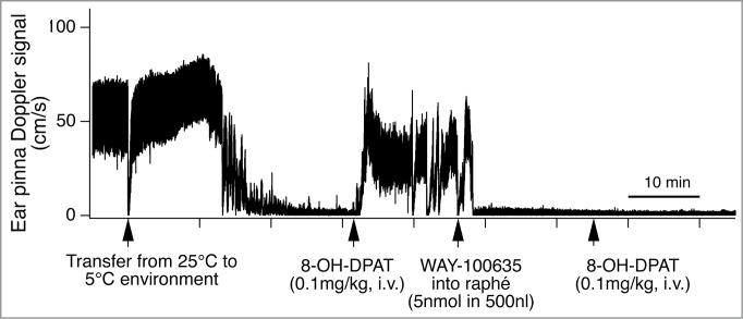 Figure 13.