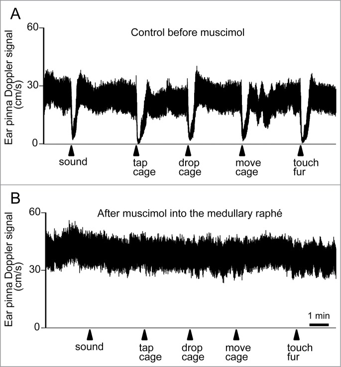 Figure 16.