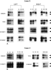 Figure 4-4246