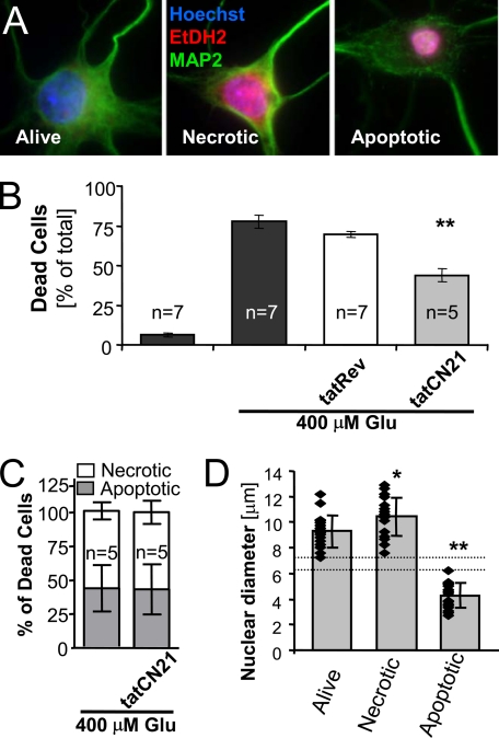 FIGURE 1.