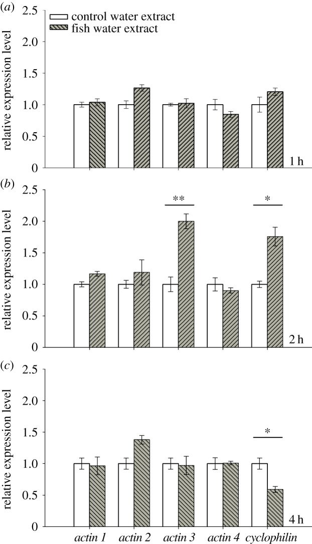 Figure 2.