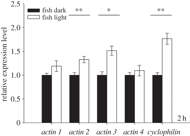 Figure 3.