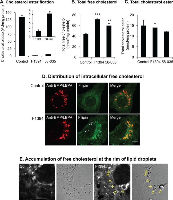 FIGURE 3: