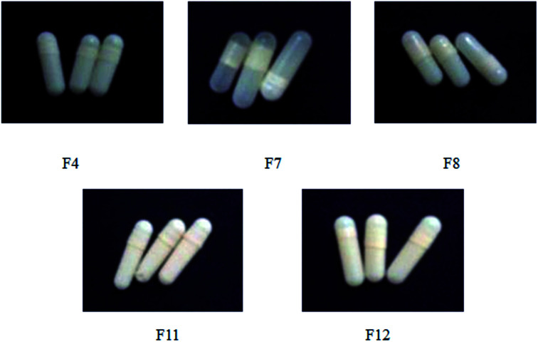 Fig. 4