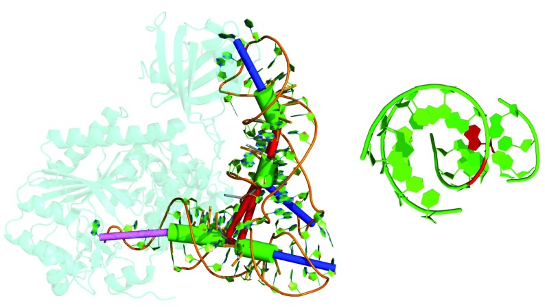 Figure 3. 