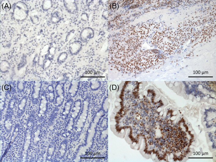 FIGURE 2