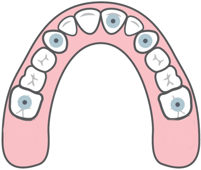 Fig. 3