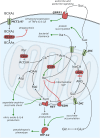 Fig. 2