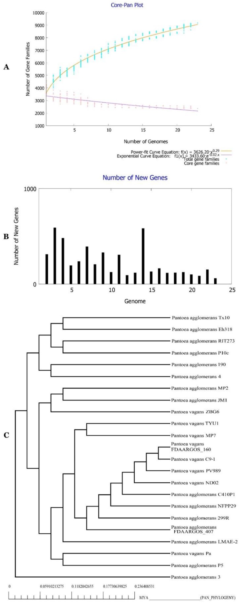 Figure 12