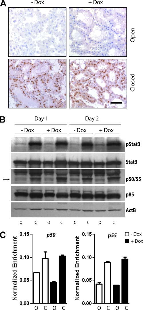 FIG. 8.