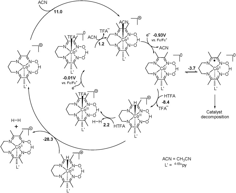 Fig. 14