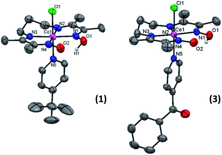 Fig. 3