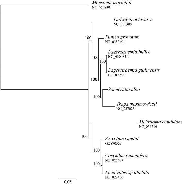 Figure 1.