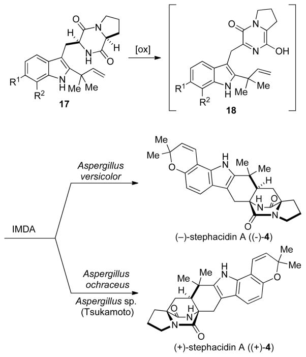 Scheme 2