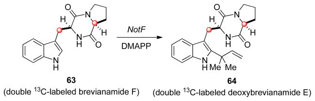 Scheme 11