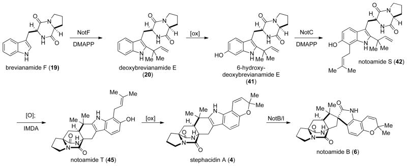 Scheme 13