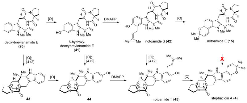 Scheme 6