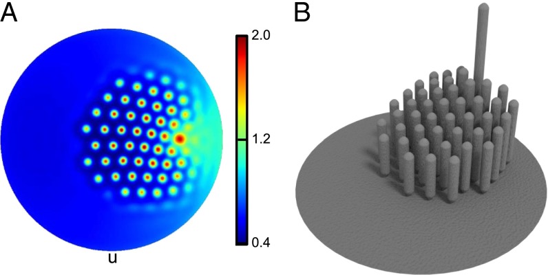 Fig. 4.