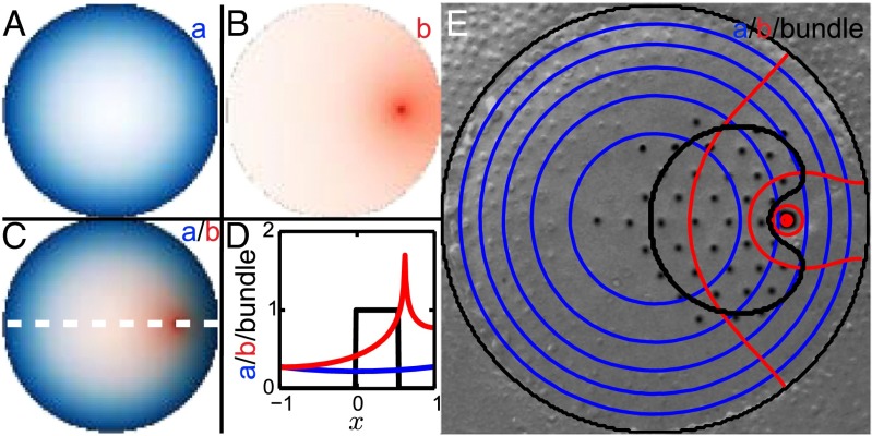 Fig. 3.