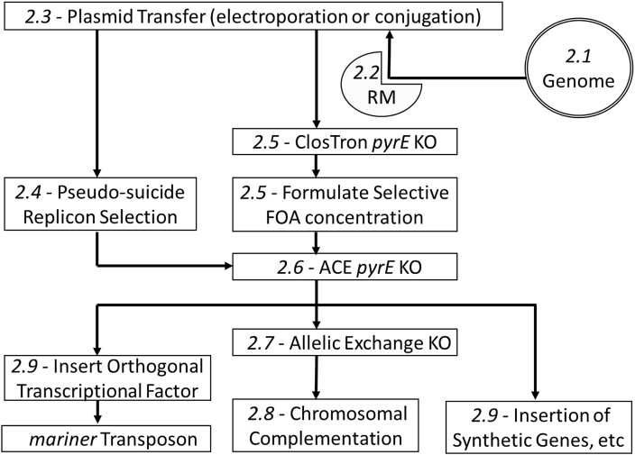 Fig. 4