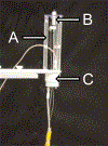 Figure 2.