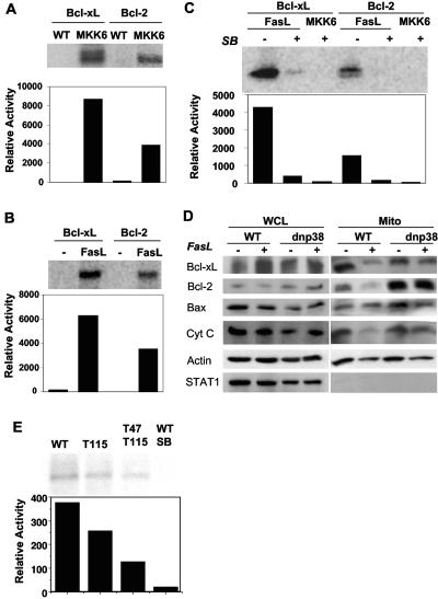 FIG. 7.