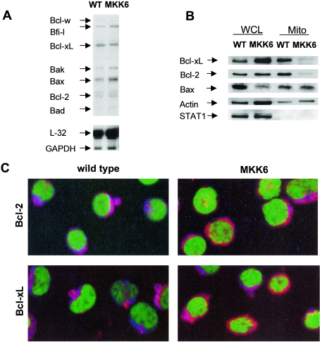 FIG. 6.