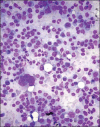 Figure 1a