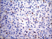 Figure 2c