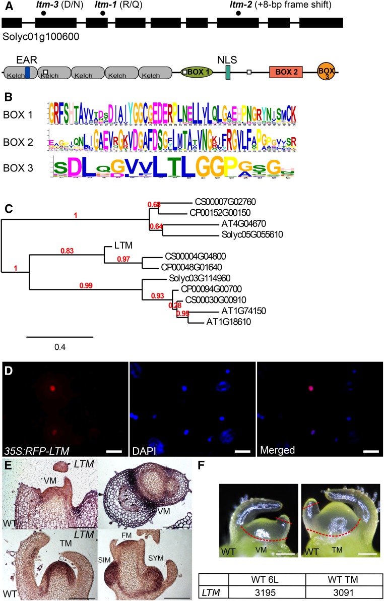 Figure 3.