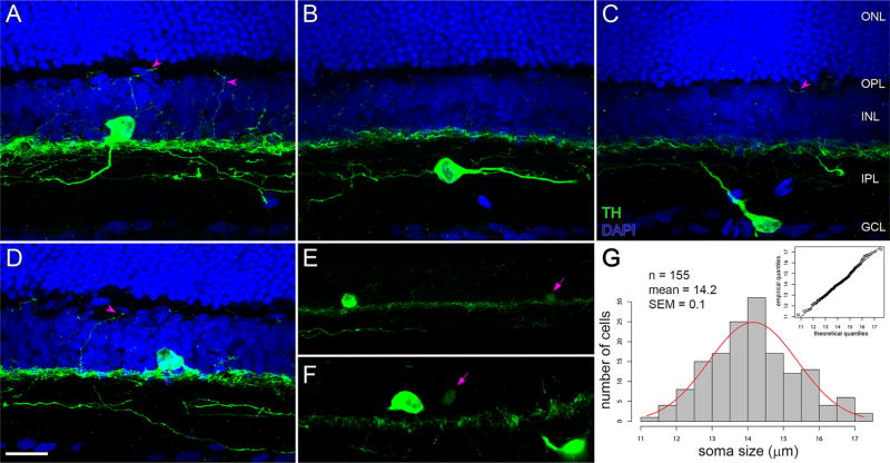 FIGURE 3