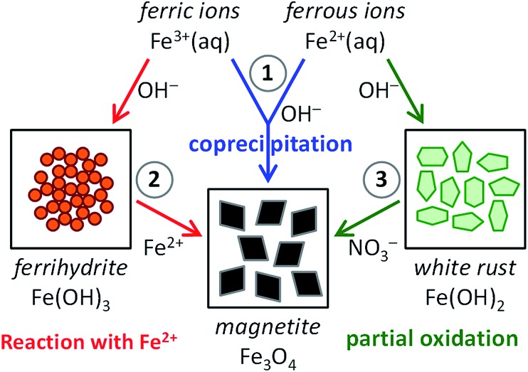 Fig. 1