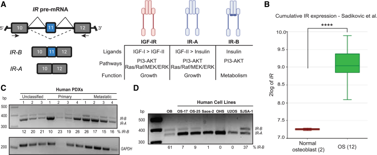 Figure 1