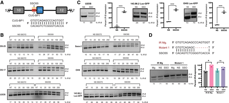 Figure 2