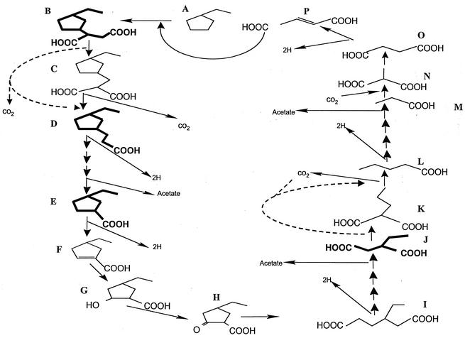 FIG. 7.