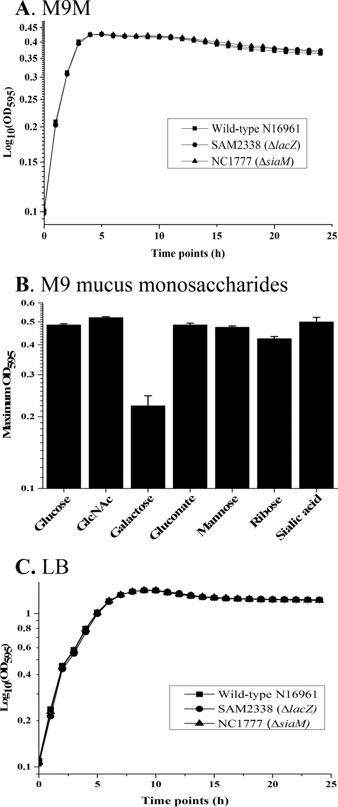 FIG 1 