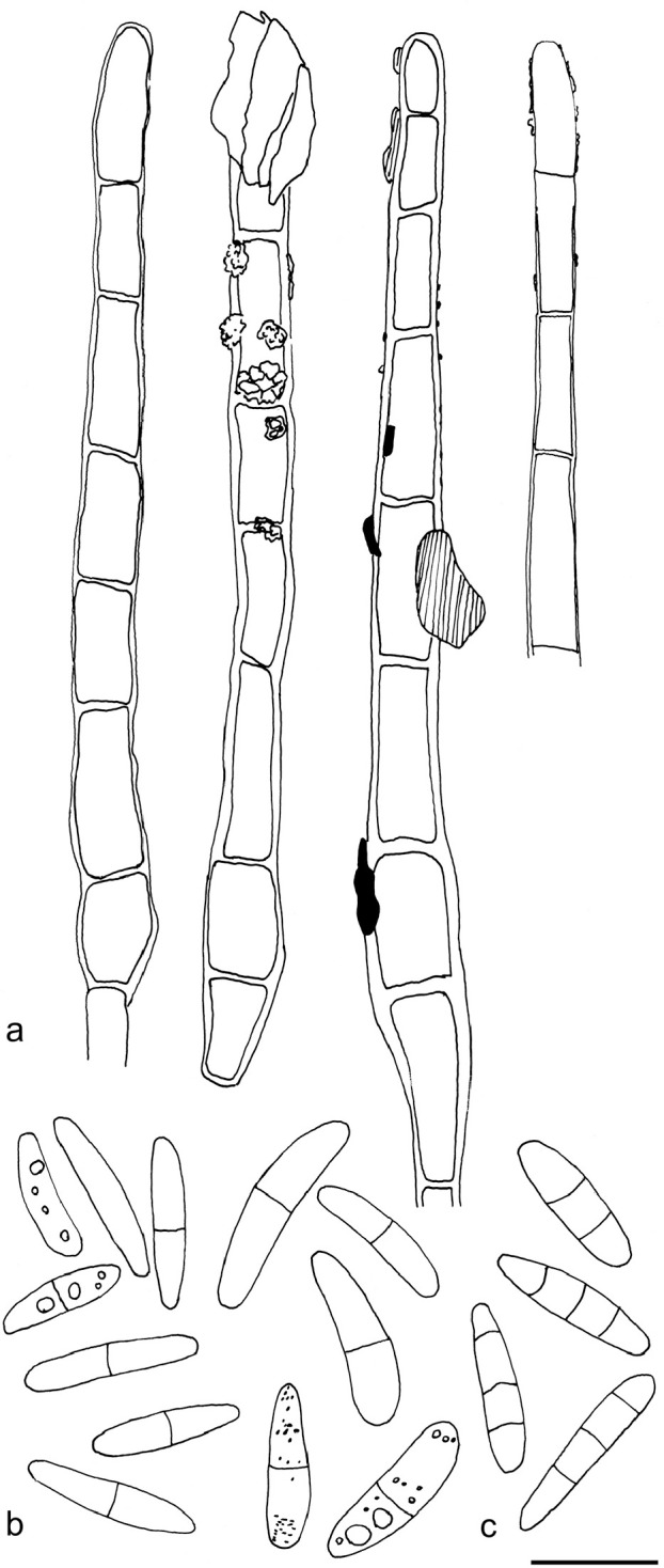 Fig. 8