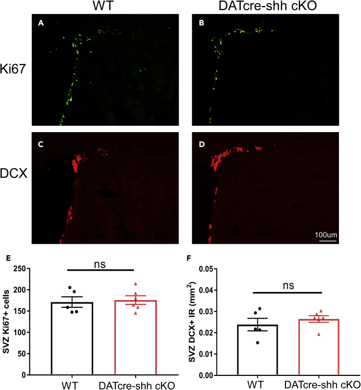 Figure 6