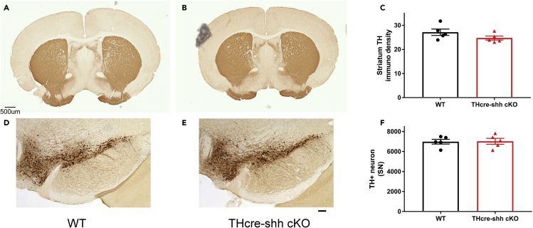 Figure 3