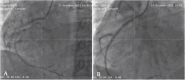 Figure 2.