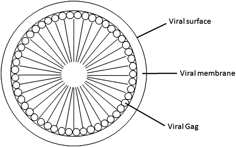 FIG. 1.