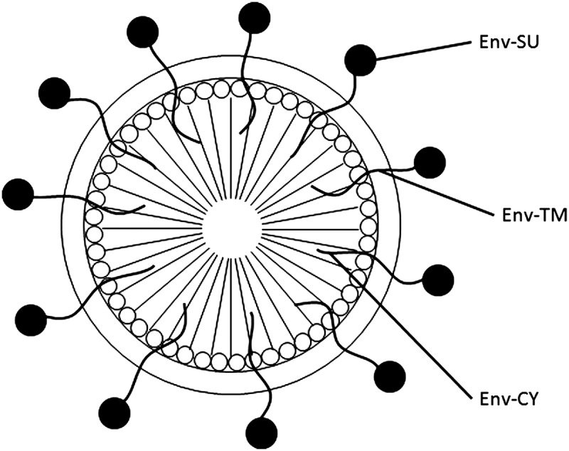 FIG. 2.