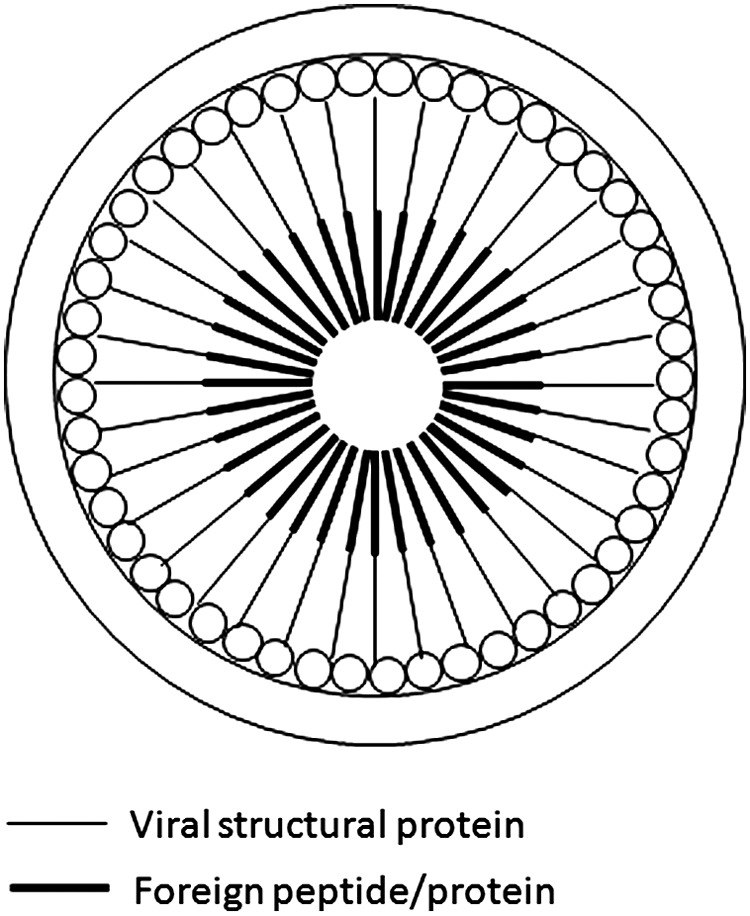 FIG. 3.