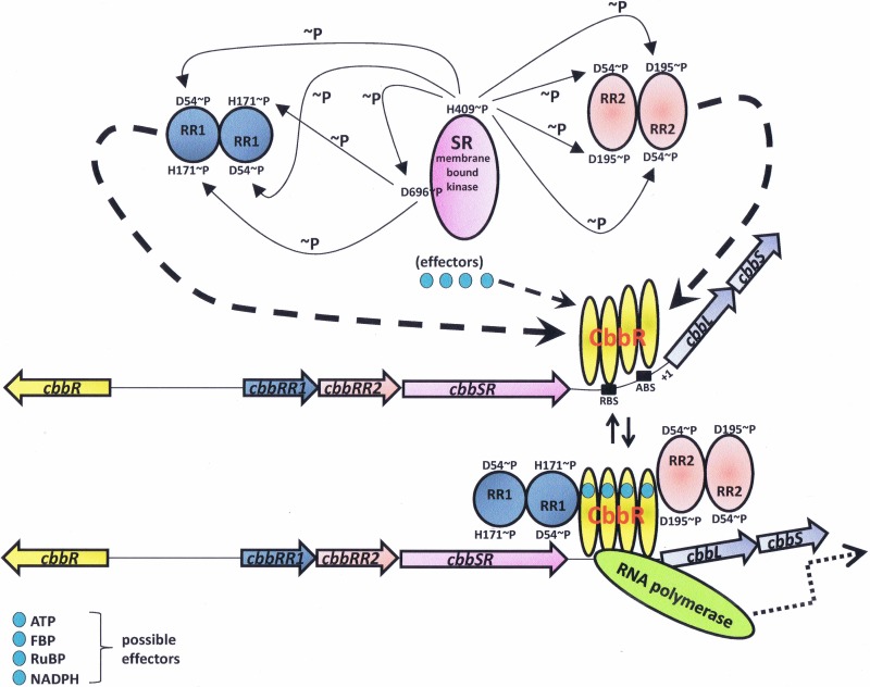 FIG 3