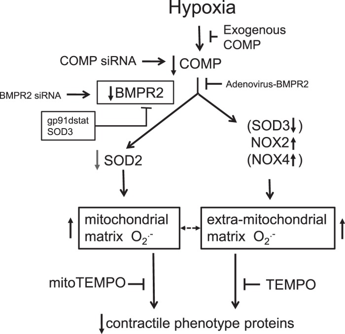 Fig. 8.