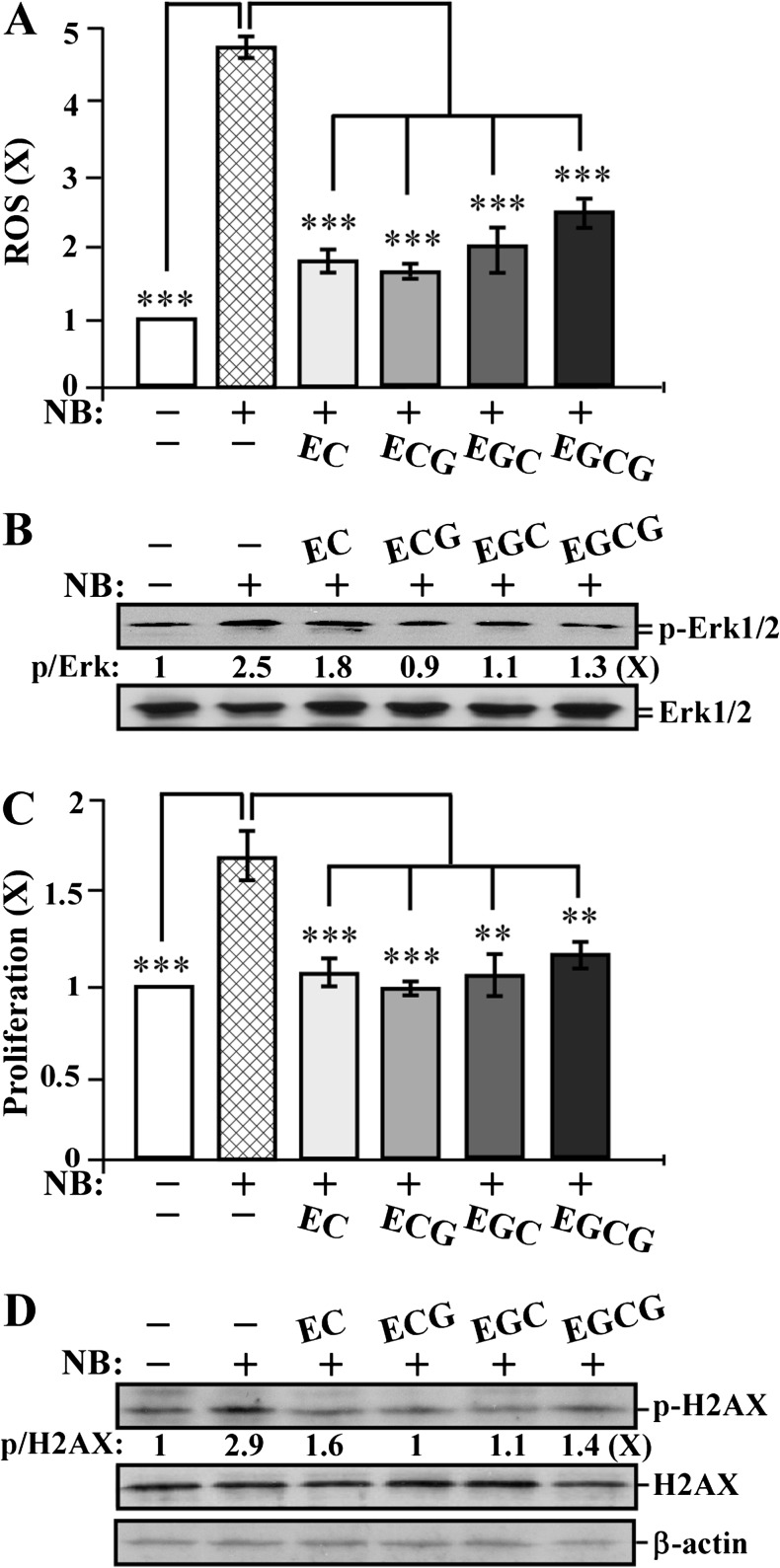 Fig. 5.