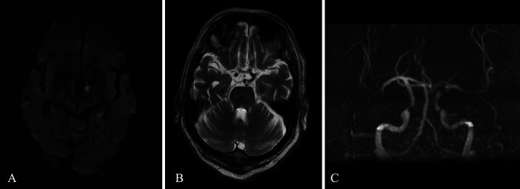 FIG. 1.