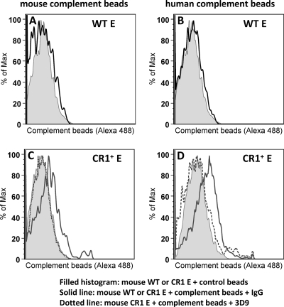 FIG. 1.