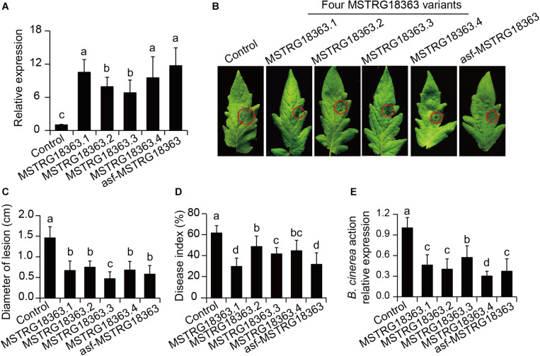 FIGURE 3